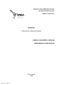 Imagem de Miniatura
