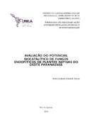 Imagem de Miniatura