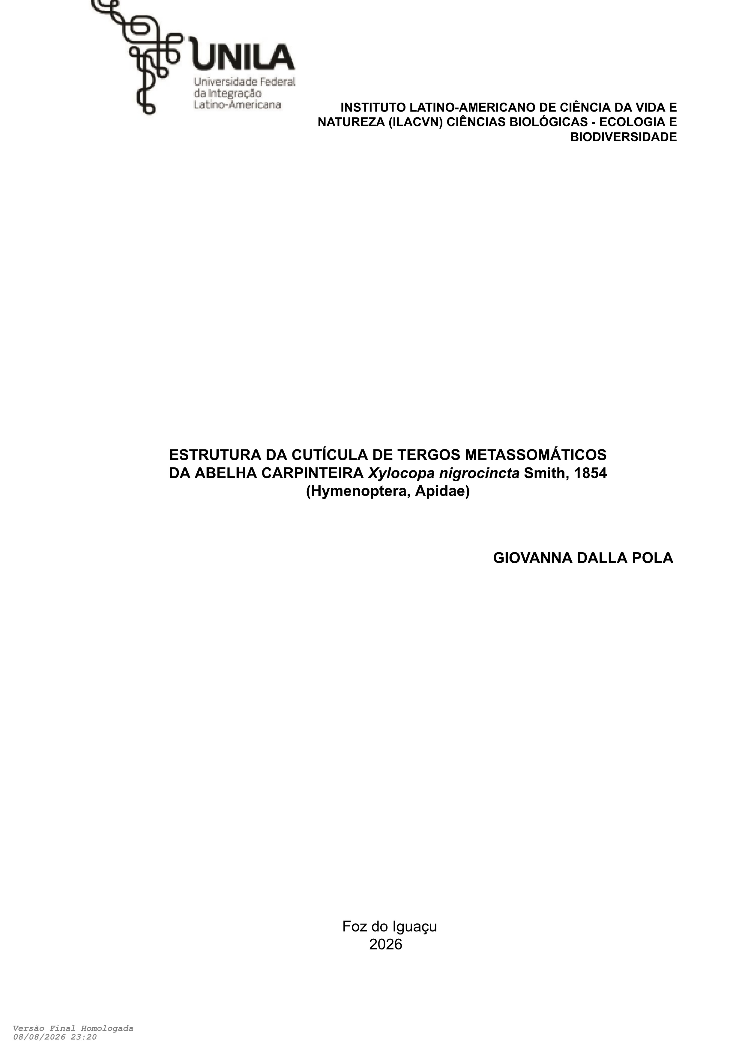 Imagem de Miniatura